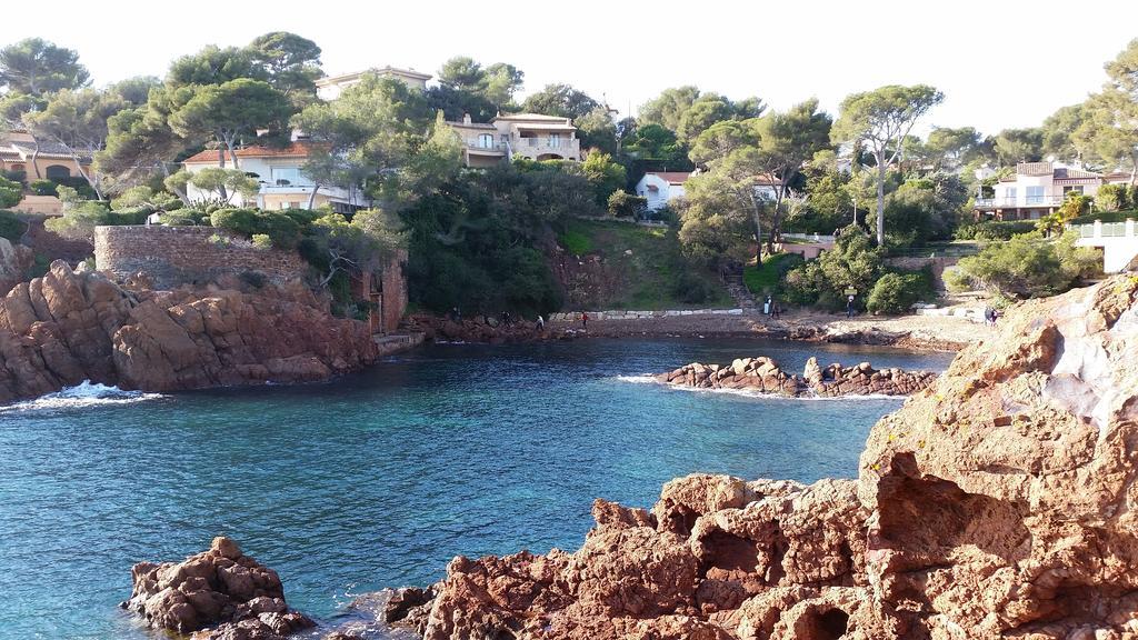 Un Petit Coin De Paradis Taradeau Eksteriør bilde
